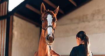 Reiten - Sportversicherung