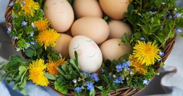 Ostern für einen guten Zweck