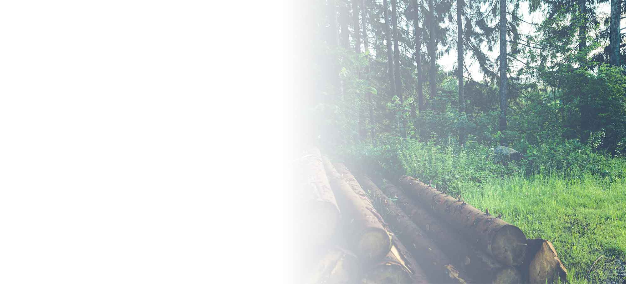 Versicherungen F r Die Forstwirtschaft Bernhard Assekuranz Versicherungen F r Die Forstwirtschaft Bernhard Assekuranz