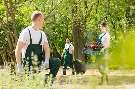 Unfallversicherung LOGL