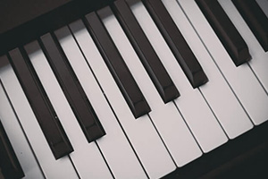 Welche Musikinstrumente können versichert werden?